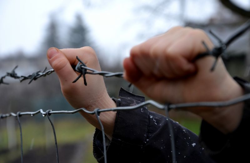Barbed Wire Fence Replacement detail